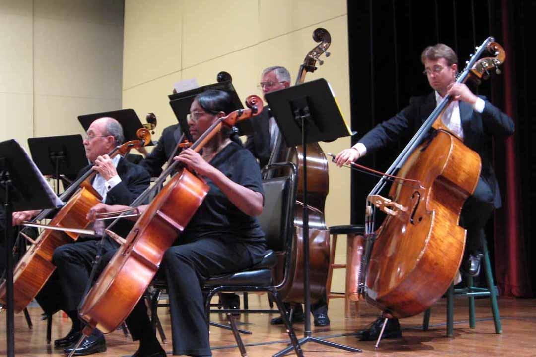 Orchestra Low Strings