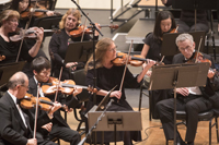 Symphony Orchestra