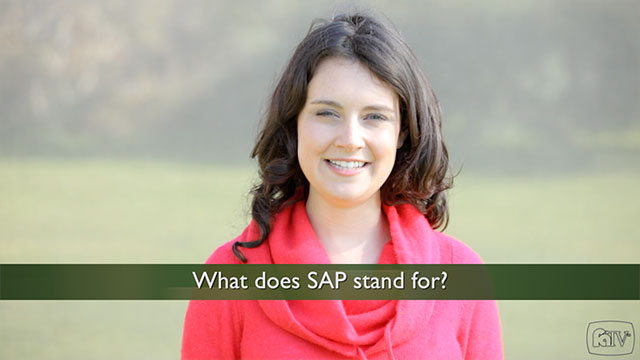 What Does SAP Stand For?