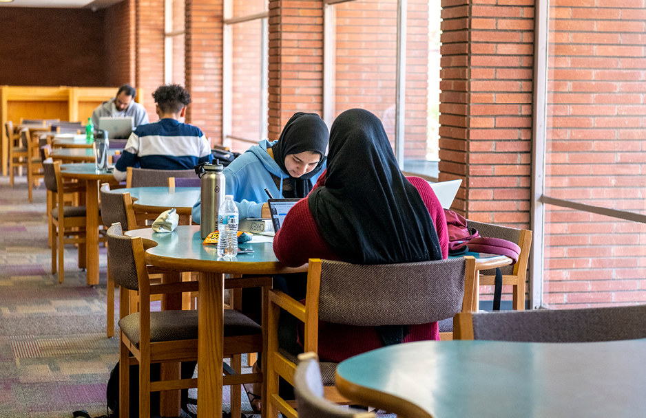 Students studying in the library next to the windows