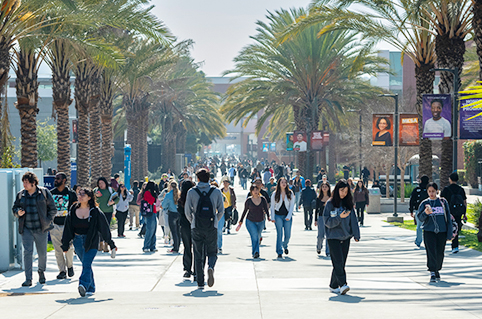 A wide campus walkway lined with tall palm trees, filled with many students walking in both directions. Colorful vertical banners with portrait photos hang from light poles, and modern campus buildings appear in the background under bright daylight.