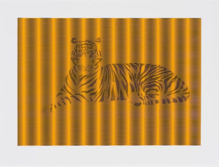 Nancy Buchanan; Bengal Tiger; ink on paper with patterned paper overlay; 16" x 22½"; 2019