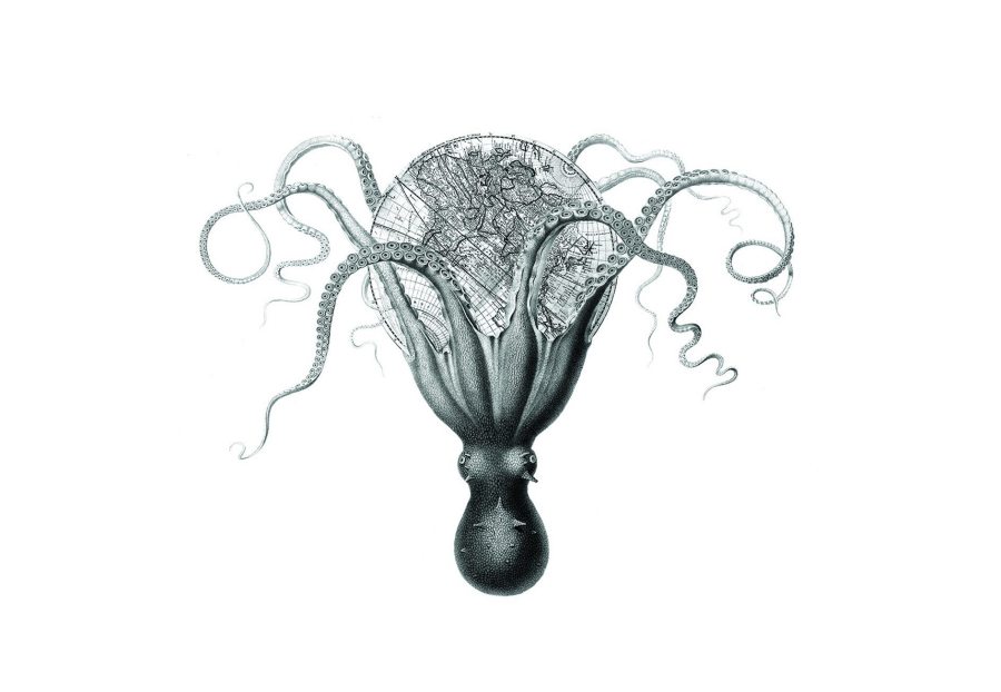 Susan Davis; OctoGlobe; archival digital print; 8" x 8"; 2019