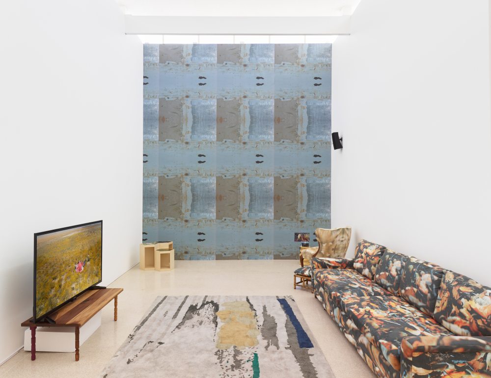 Flourish from Fire Installation View 5; 2019; Documentary photograph; Dimension variable