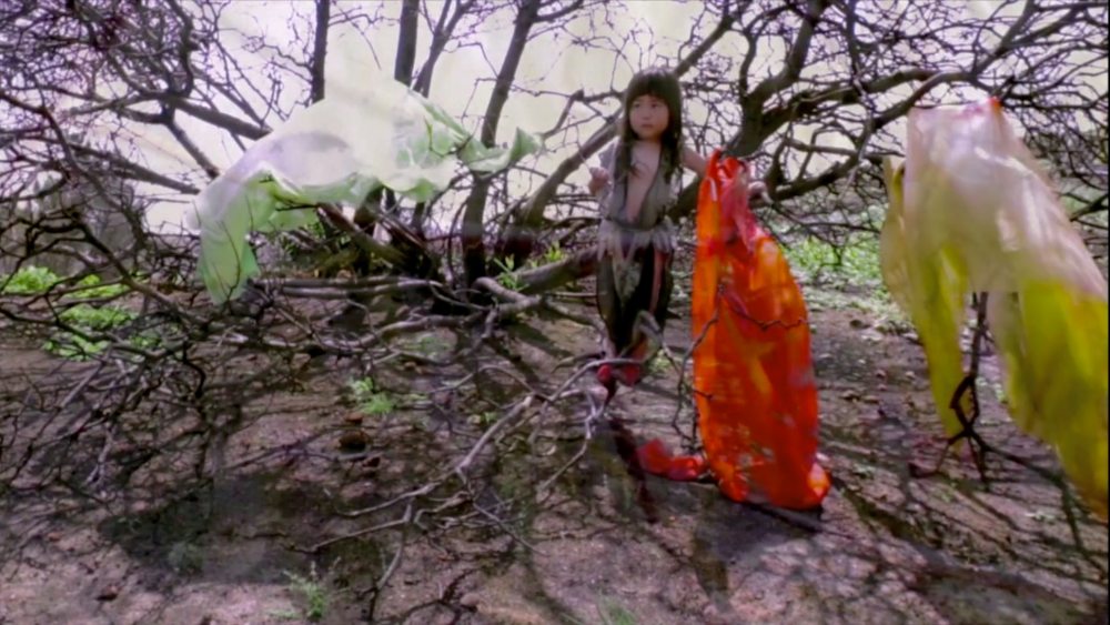 Mount Video Still 9'; 2019-2020; Video Still; Dimensional variable