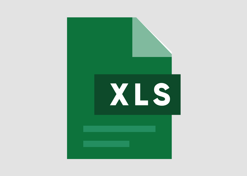Excel File Icon