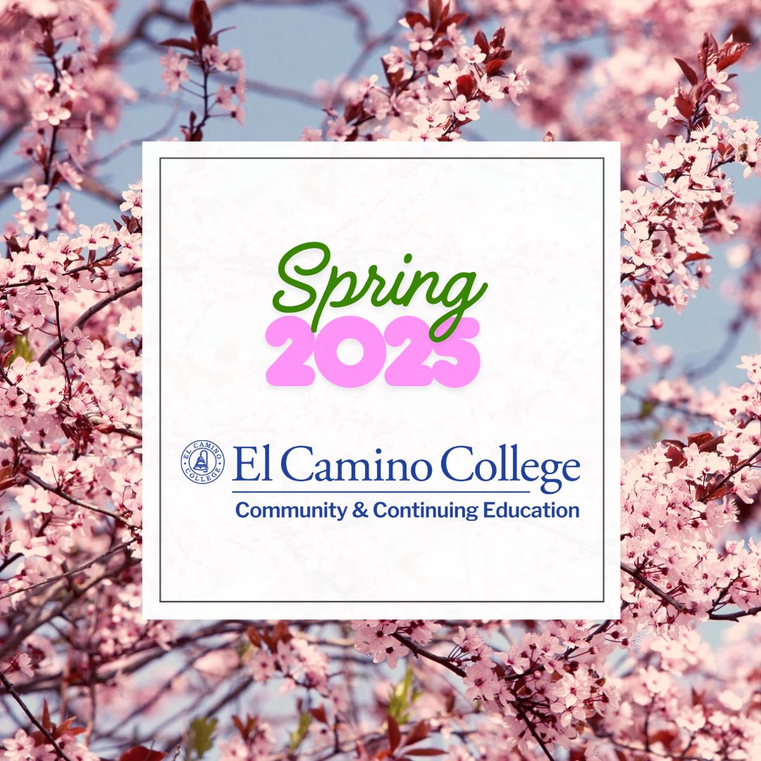 Spring 2025 Catalog