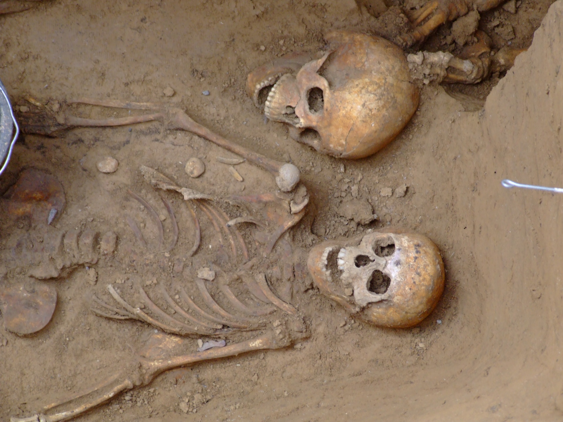 Archaelogical excavation of human skeletons