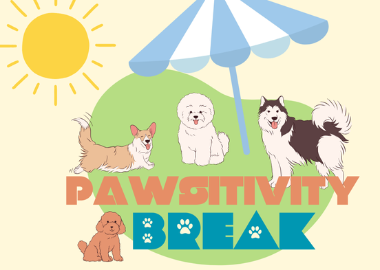 Pawsitivity Break
