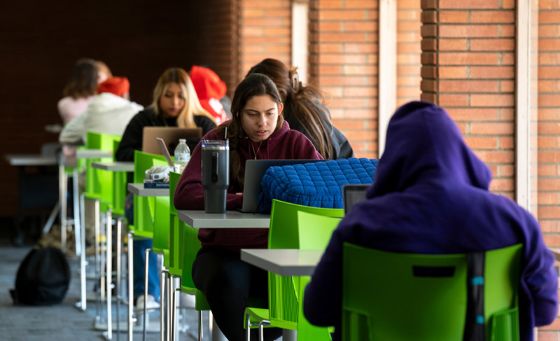 Students walk down campus walkway