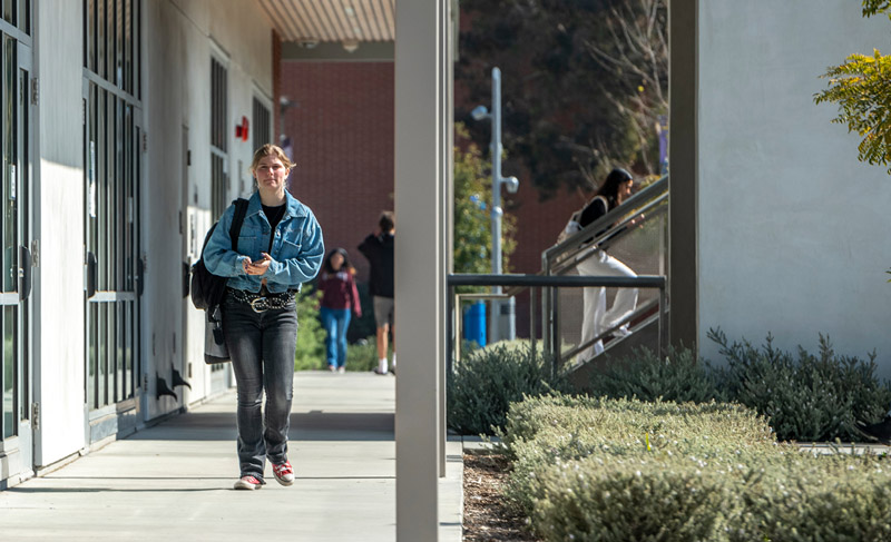 Woman walks down campus walkway
