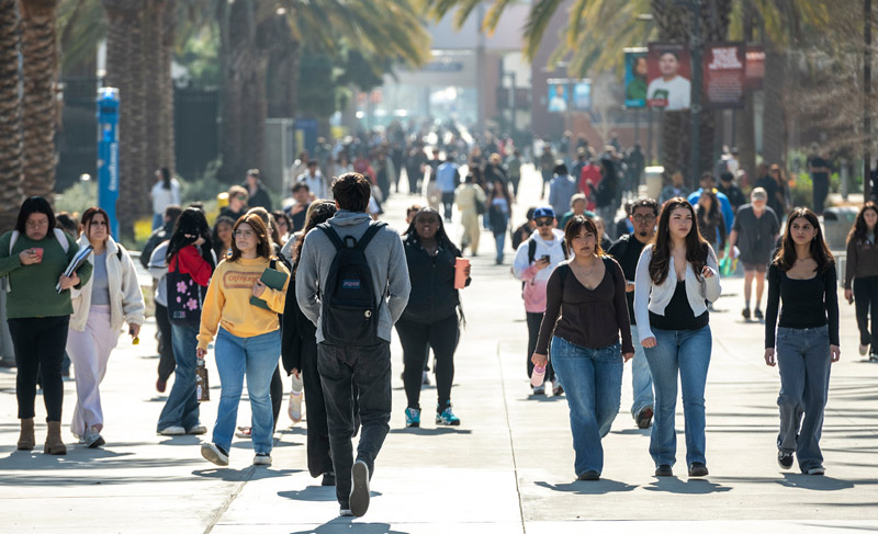Students walking around campus