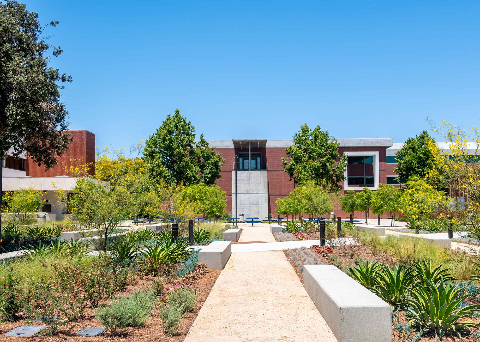Garden outside of building