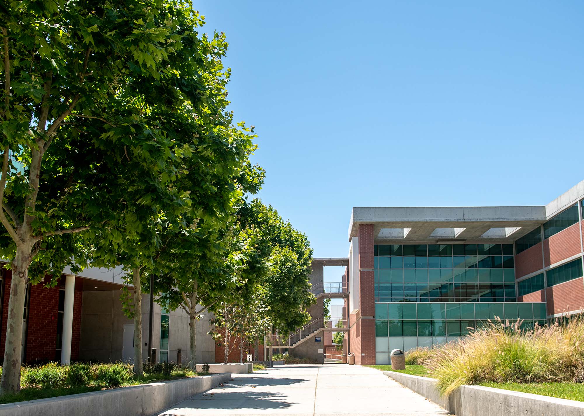 School Pathway