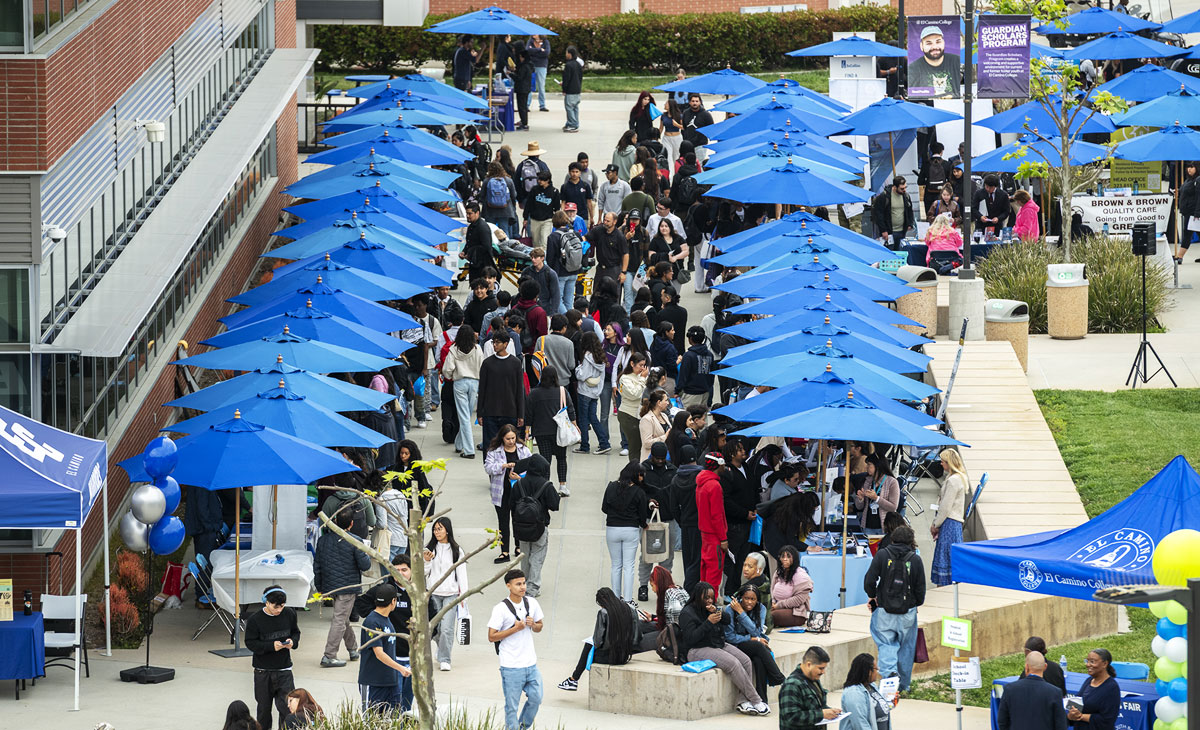 A busy outdoor job fair on a campus walkway, with long rows of bright blue umbrellas shading tables, a large crowd of people standing and walking between booths, brick buildings along one side, and banners and tents visible in the background.