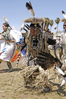 Pow Wow