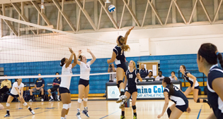 Warrior Athletics