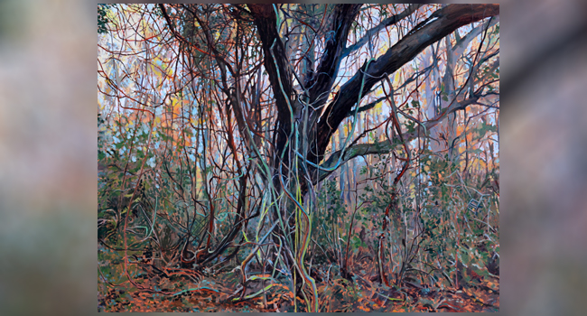 ECC Art Professor Randall Von Bloomberg Shows Work at LAX