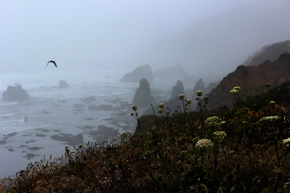Photography Finalist