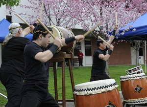 Cherry Blossom Festival