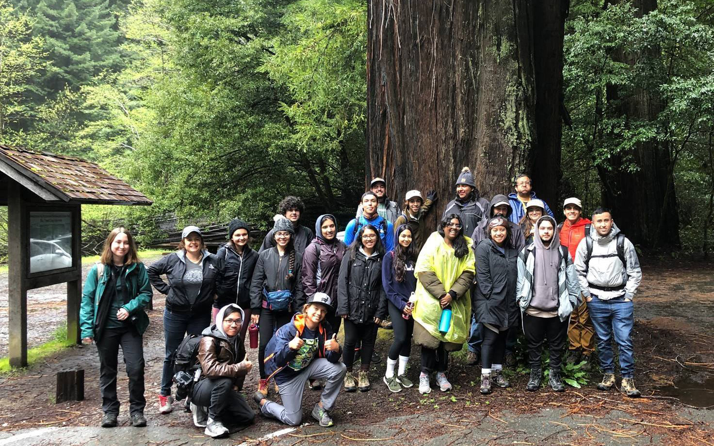 Headed North: Science Club Visits the Redwoods