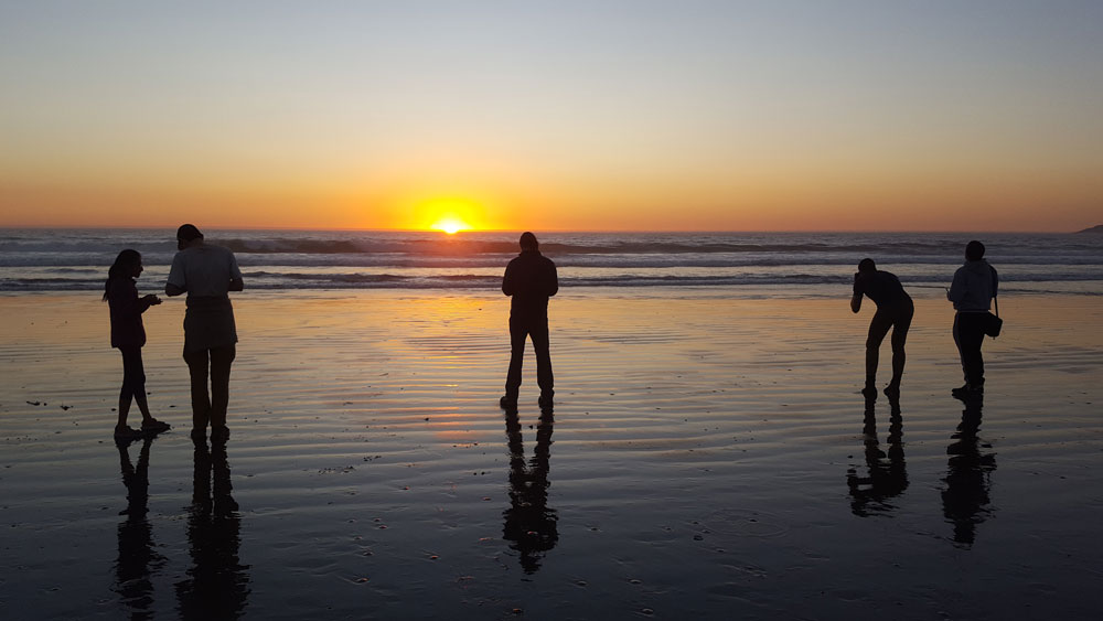 Geology Program: Central Coast Field Trip