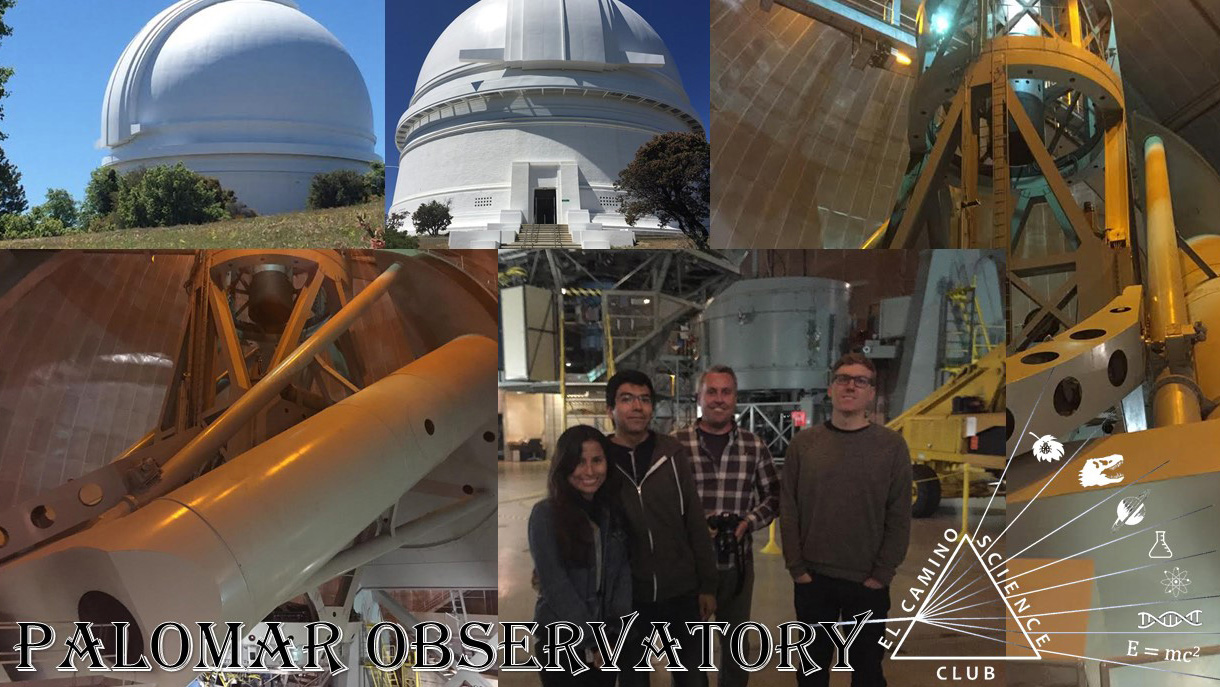 Science Club Summer Excursion