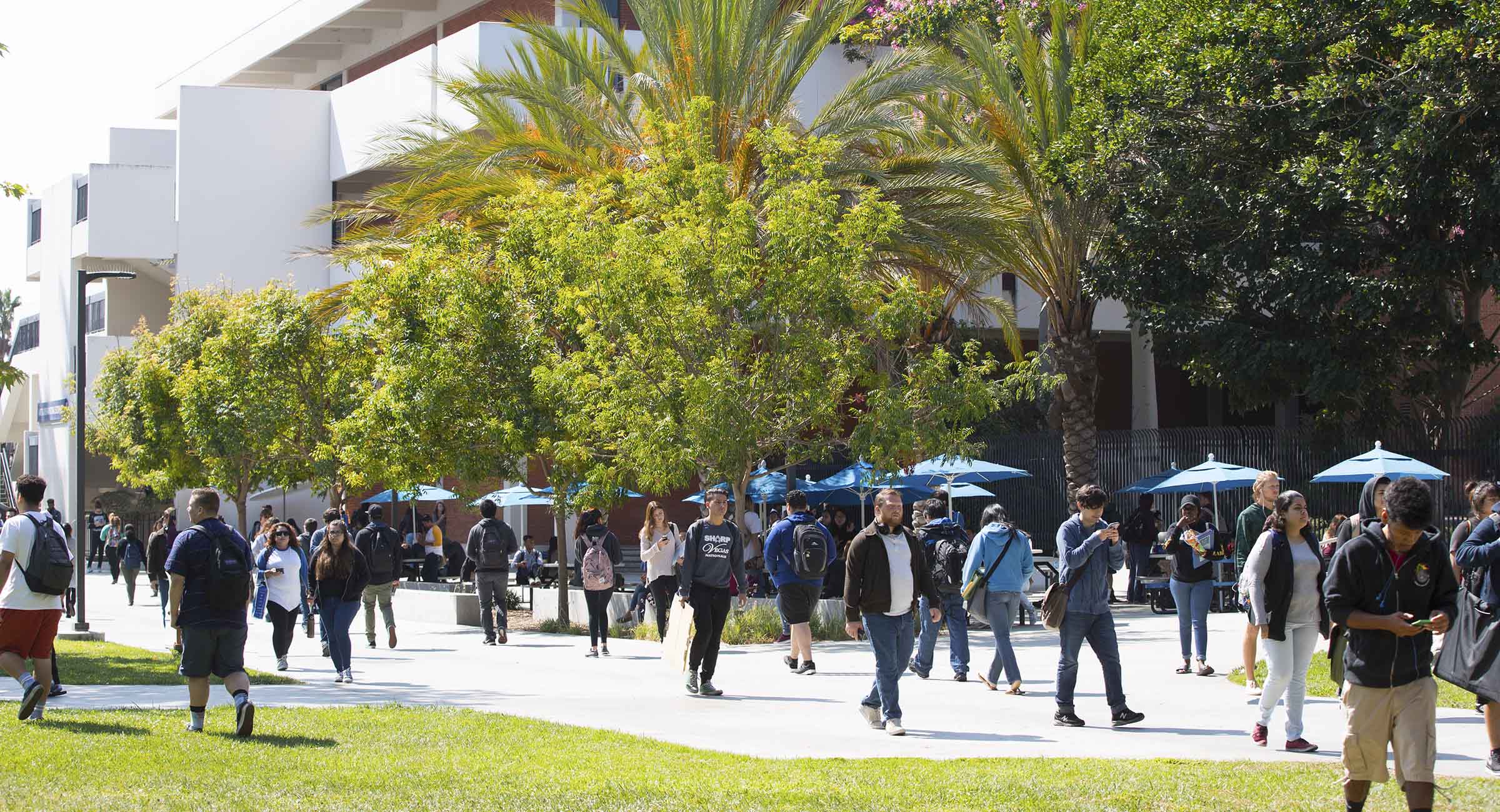 Midterm Classes – Register Now! 