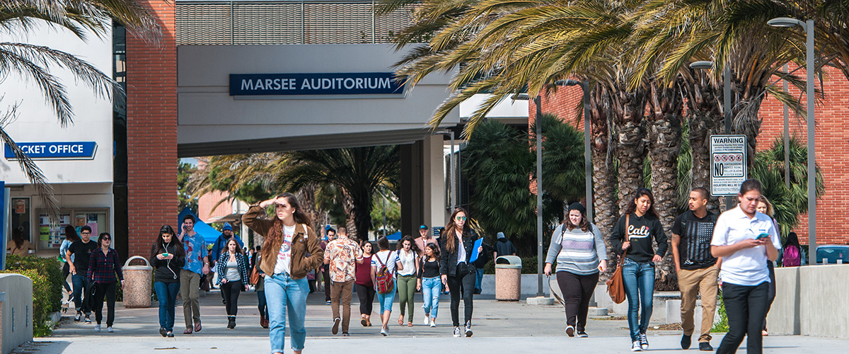 Welcome to Spring 2017!