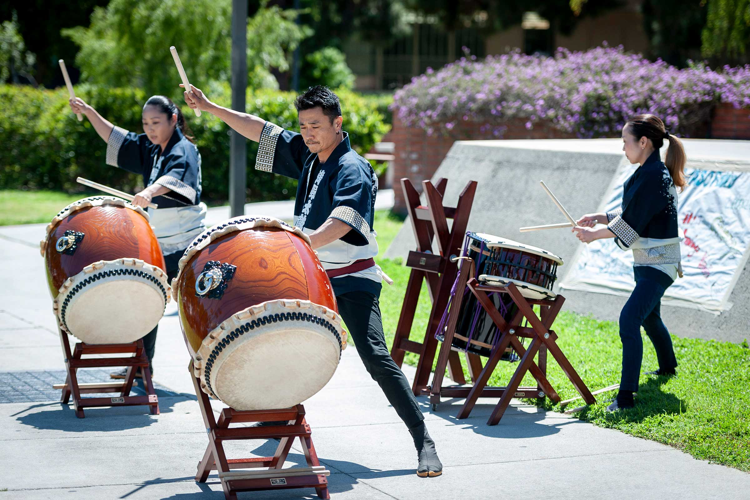 A Celebration of Spring: Annual Cherry Blossom Festival