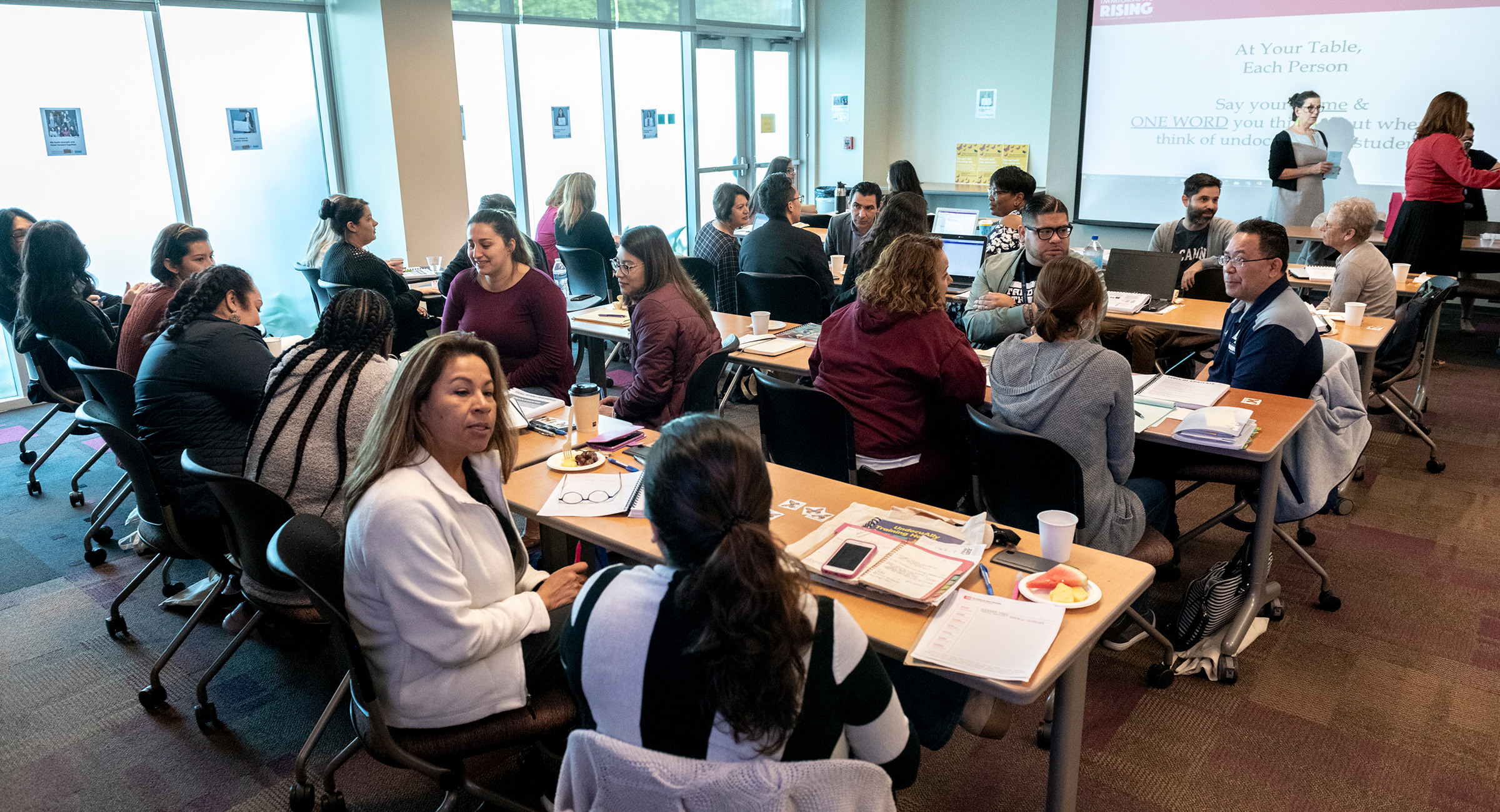 Undocumented Ally Training Program
