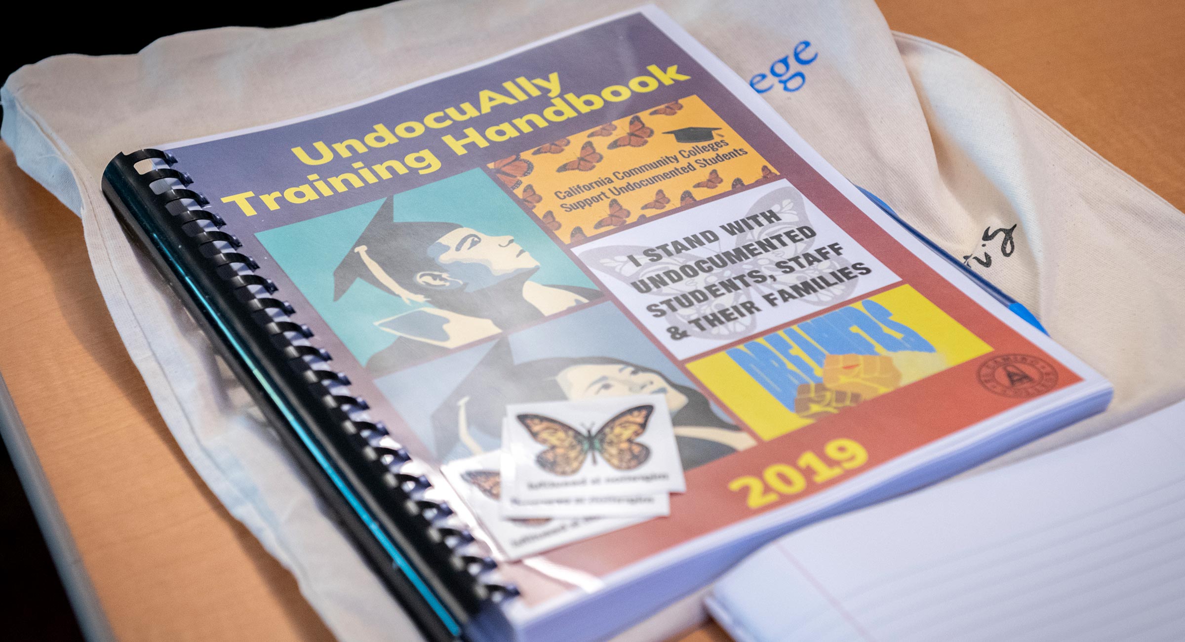 Undocumented Ally Training Program