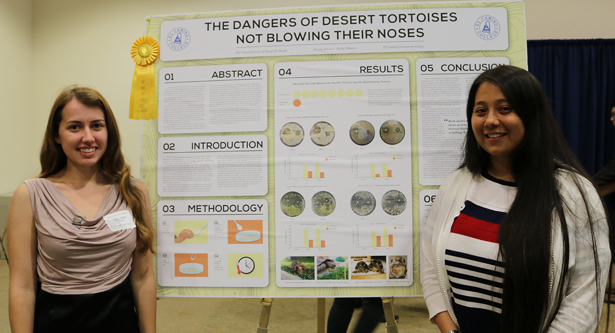 HTP Students Win Top Awards