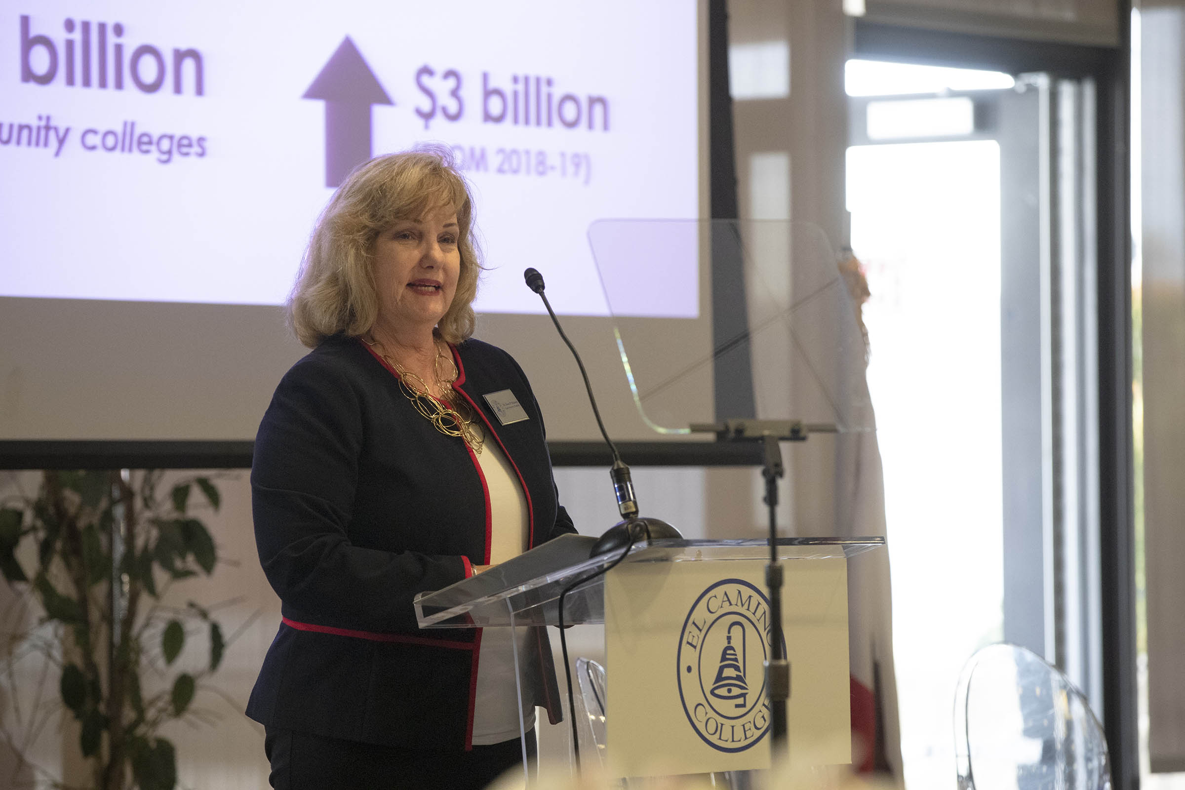 2019 State of the College