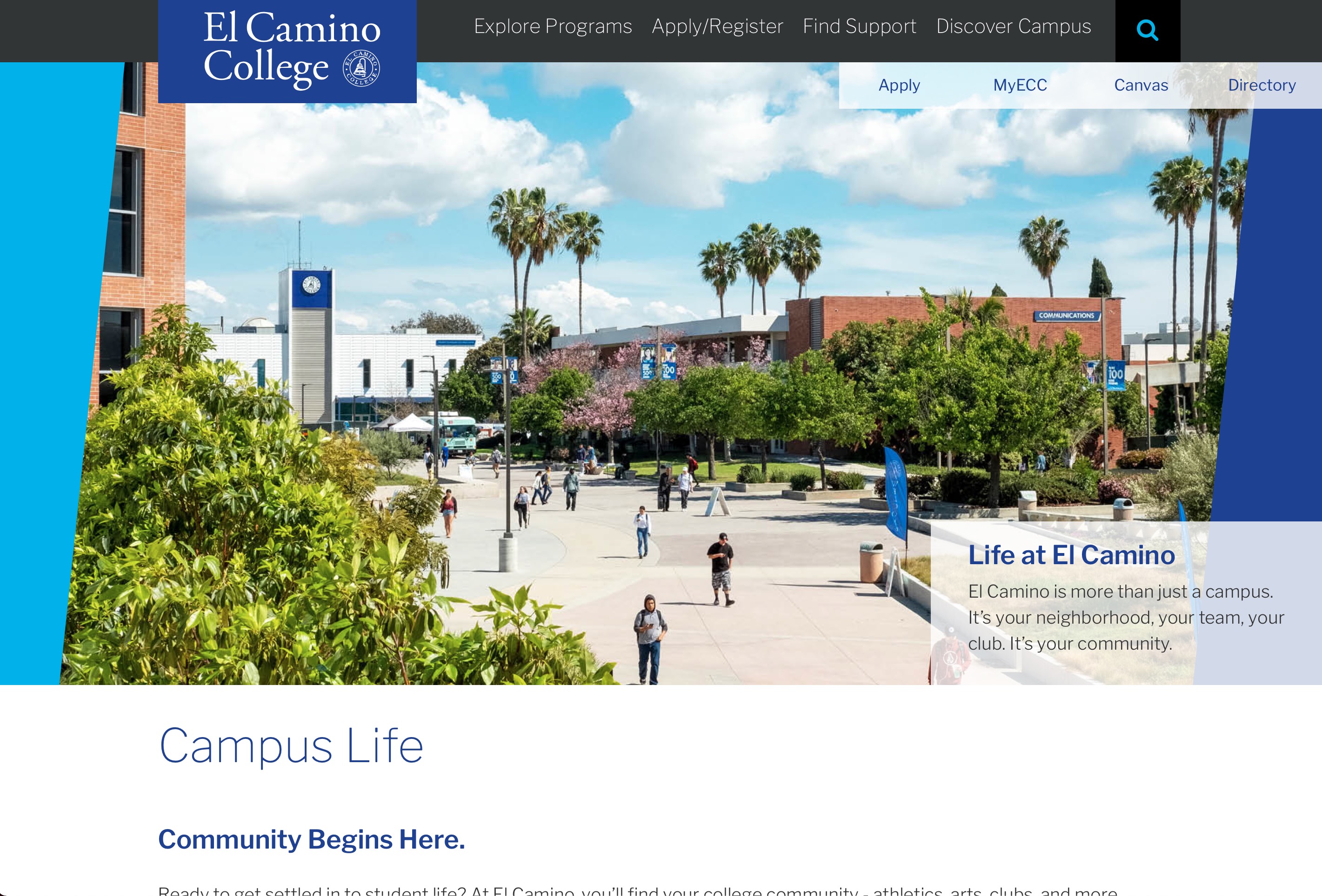 new website