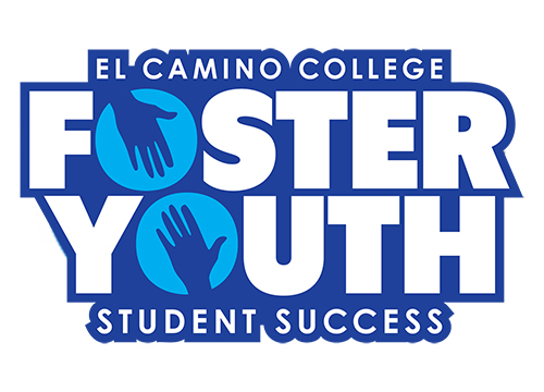 Foster Youth Success
