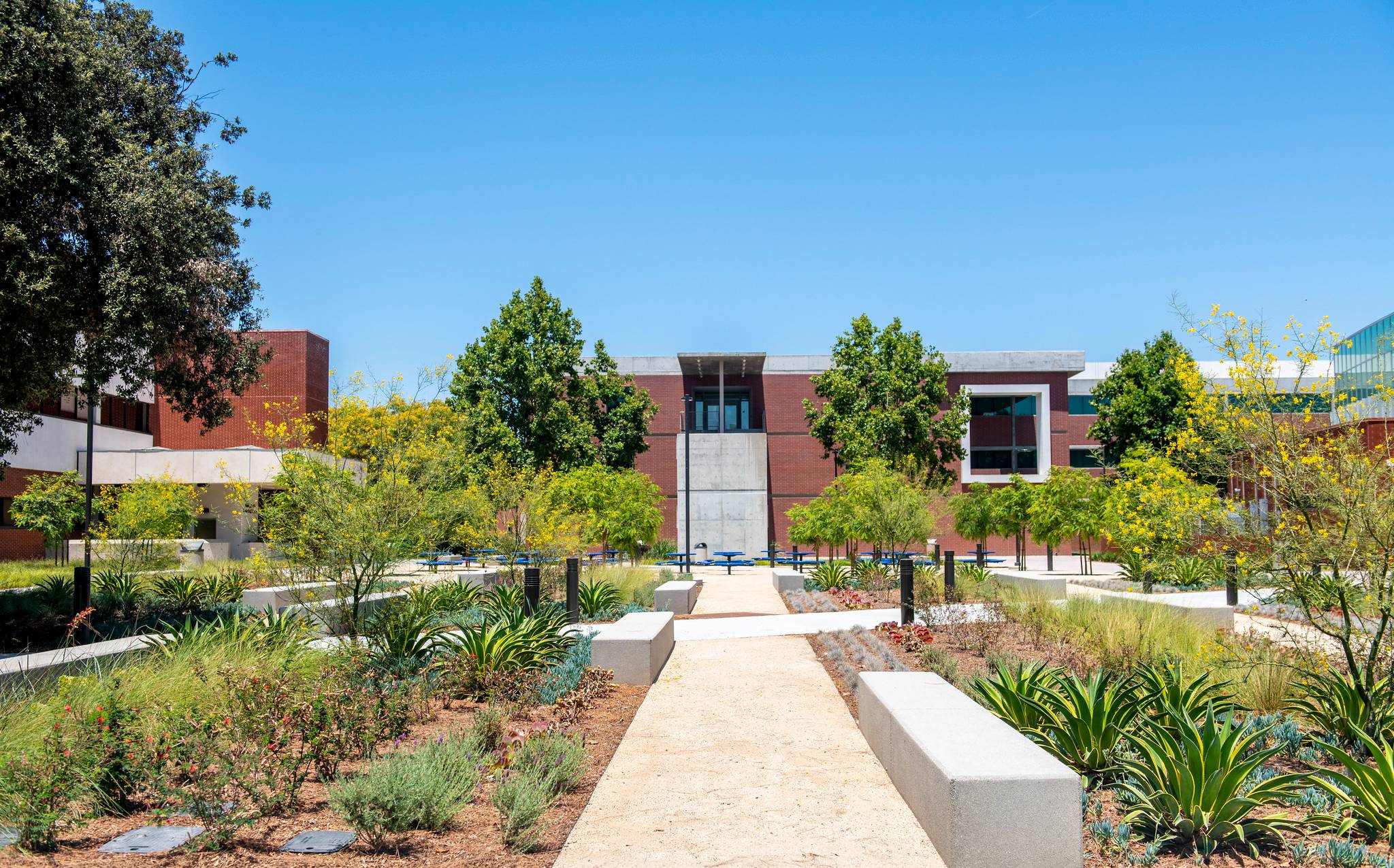 Exterior of building from courtyard