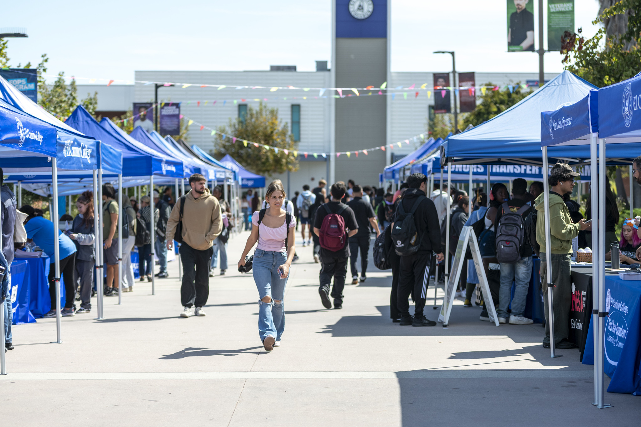 Crowd of students walking along pathway